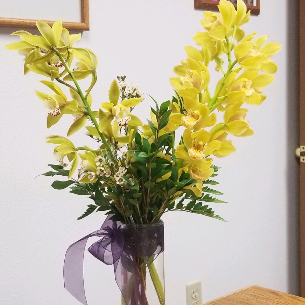 Meet your Posher, Debbie